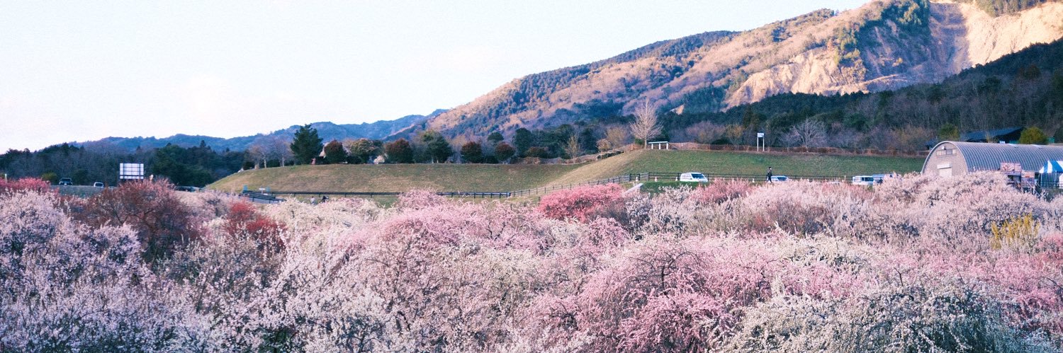 あいすてゃん banner