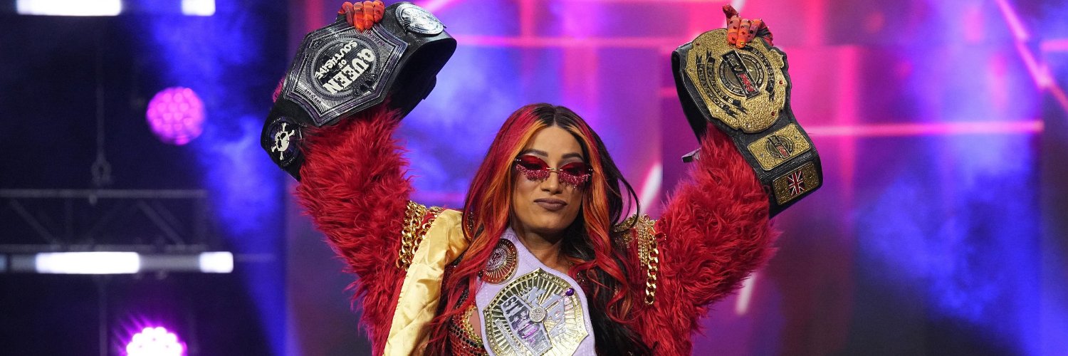Ladies of Wrestling's banner
