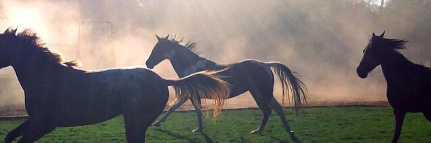 Booo7511's profile banner image