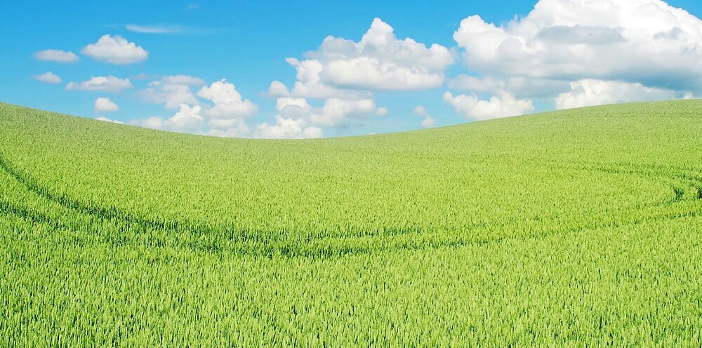 Hamimrocks's profile banner image