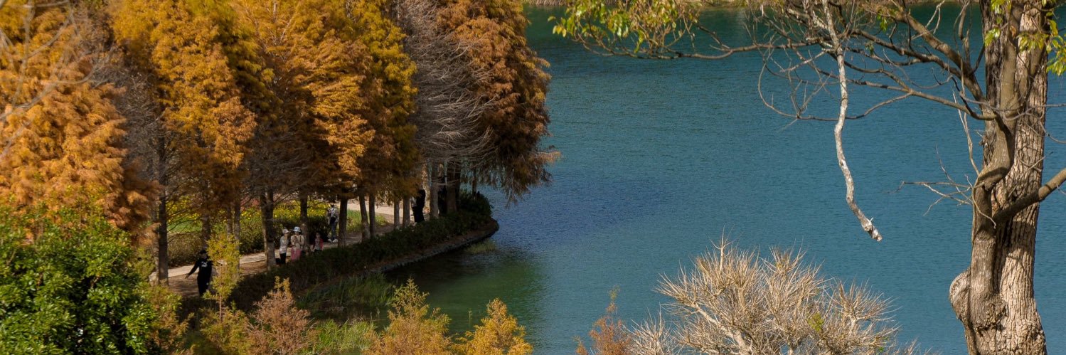 wcao474's profile banner image