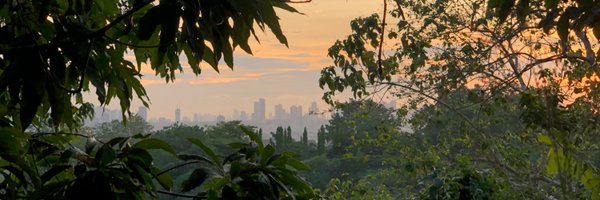 Unwrinkling Profile Banner