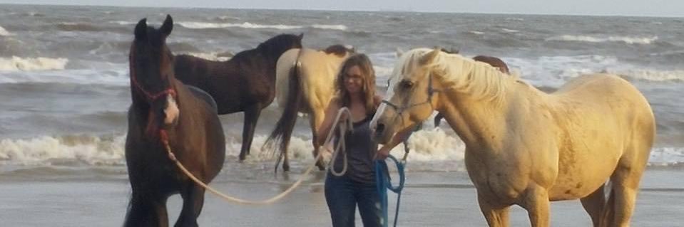 CathyAltman's profile banner image