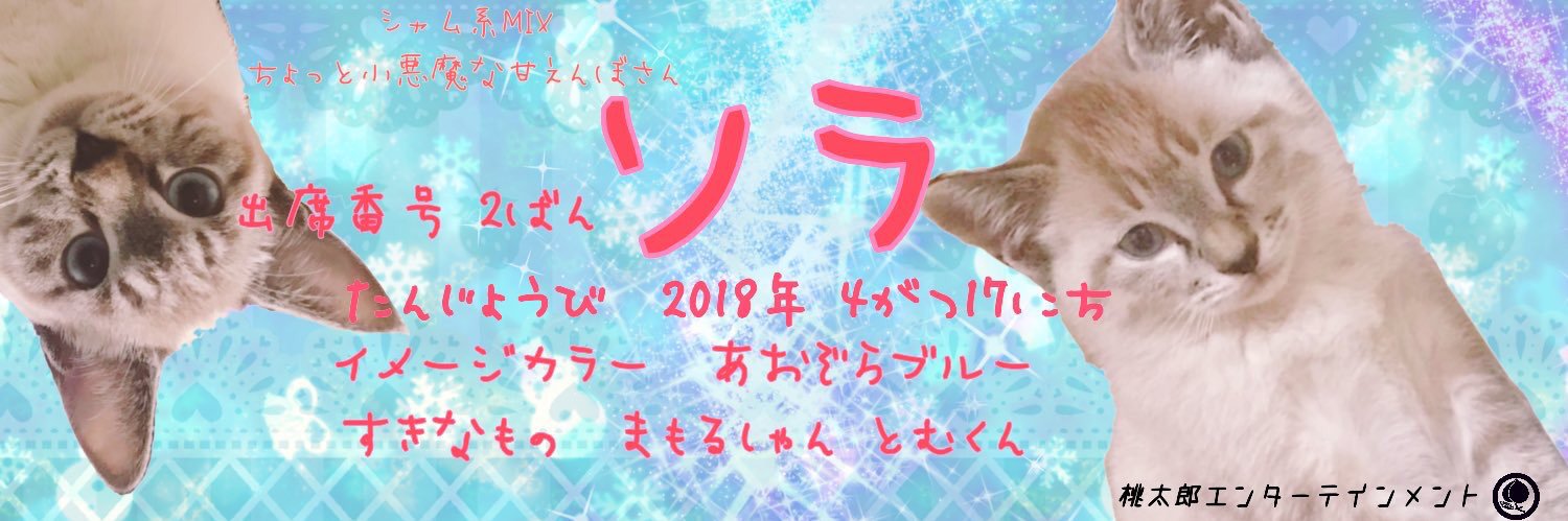 まもるぱんち banner