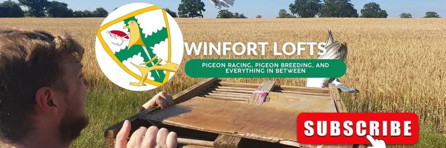 Winfort Lofts Profile Banner