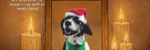 Bella me duele tu partida 🐕♥️ banner