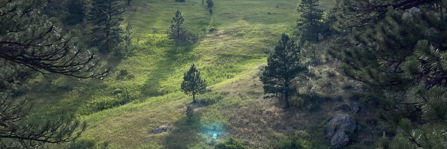 GraySavannuh's profile banner image