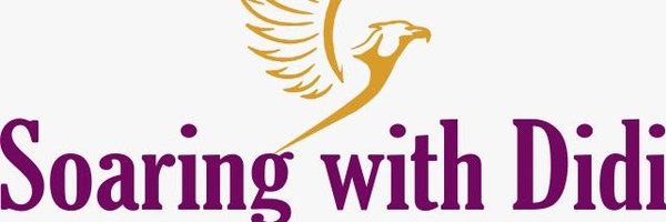 soaringwithdidi Profile Banner