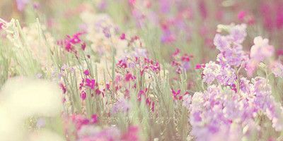 PerlaCastilloi's profile banner image