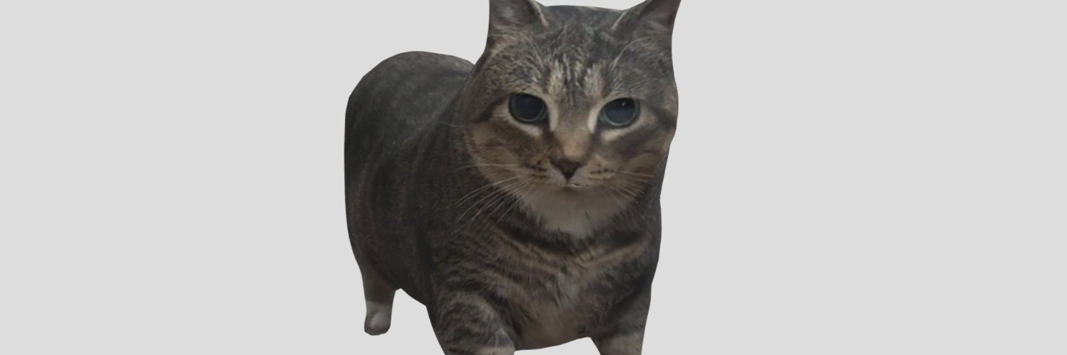 Sice banner