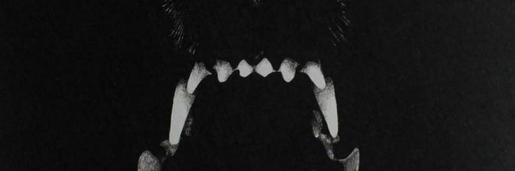 eliza_torn's profile banner image