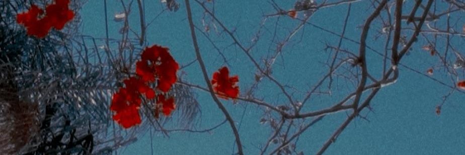 MorenaParedes's profile banner image