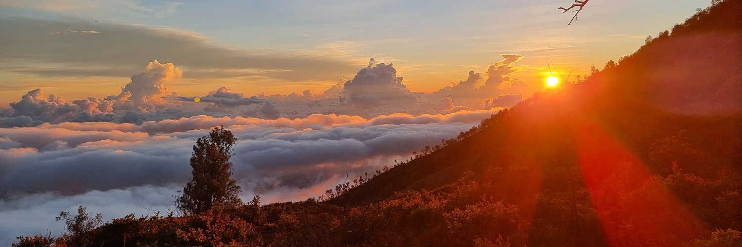 Dmitry Ishkov 🤍💙🤍 banner