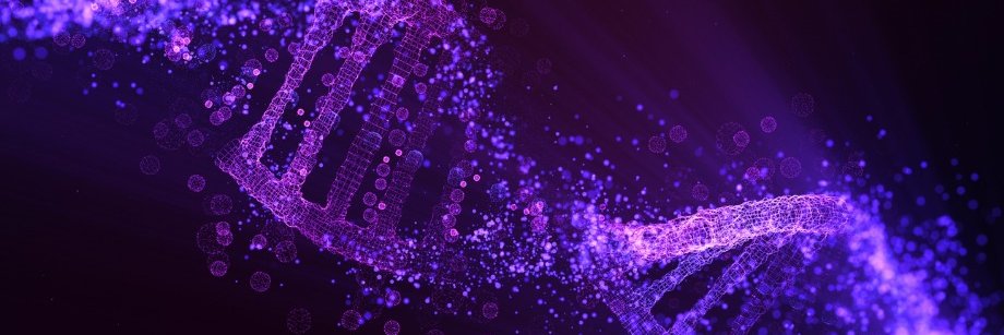 Karla F. Meza-Sosa banner