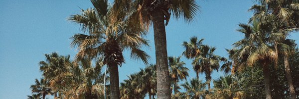 preechayaj2 Profile Banner