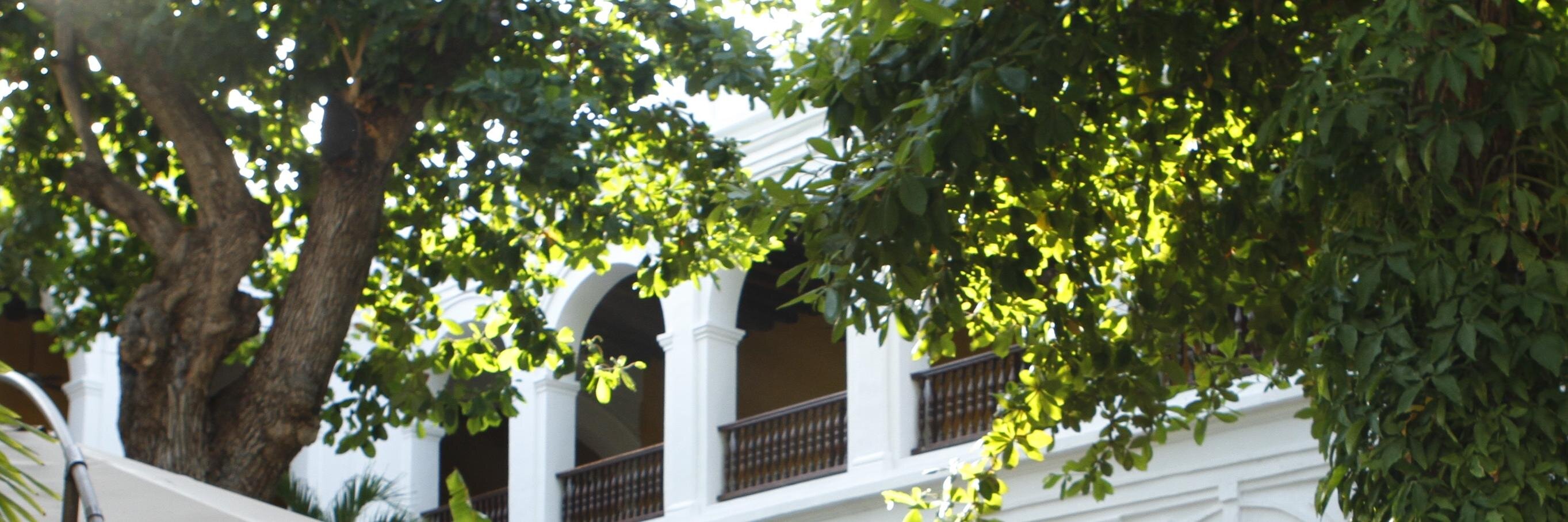 bookwormcathrin's profile banner image
