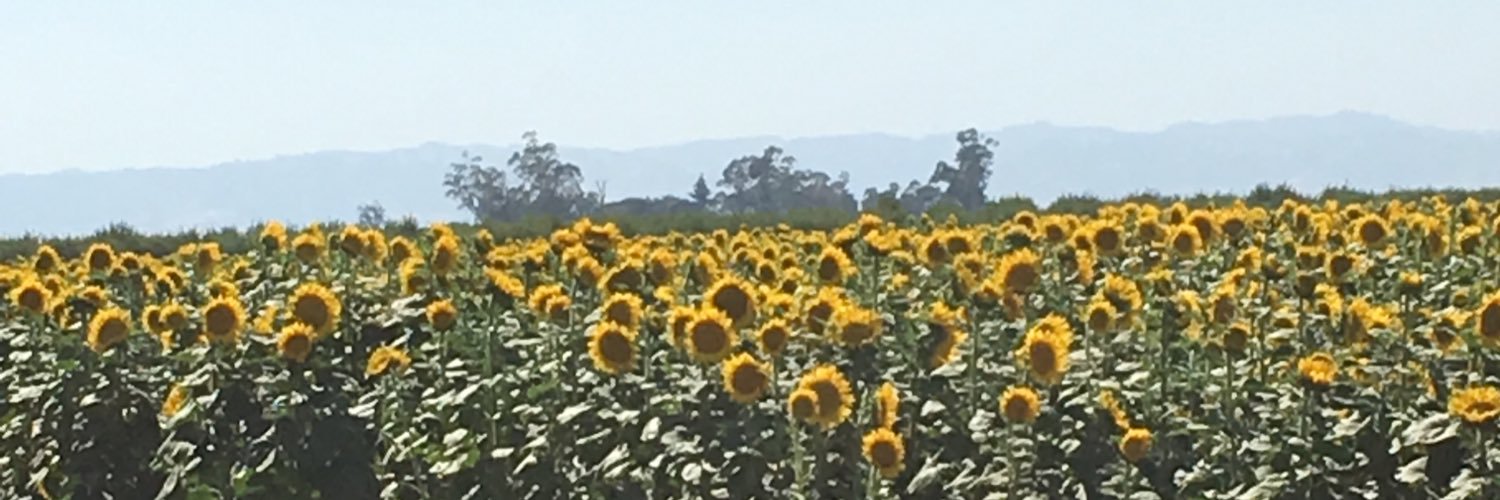 hailey_kaitlin's profile banner image