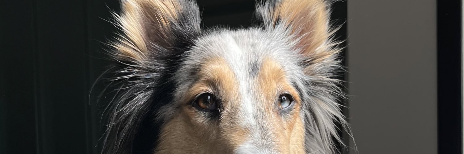 martidalmagro3's profile banner image