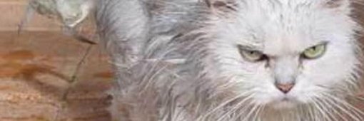 kim89Da's profile banner image