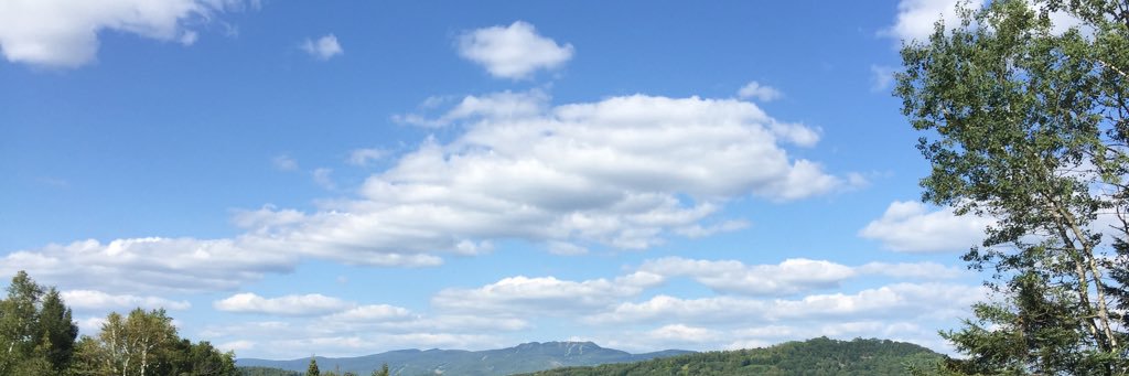 AriBaum's profile banner image