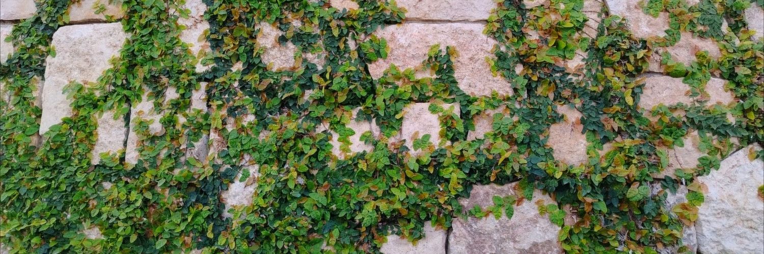 Rene M. Lemus banner