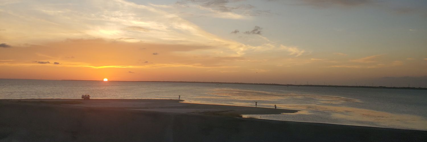 TXPanhandle_IPM's profile banner image