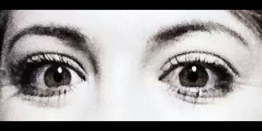 Taneill banner