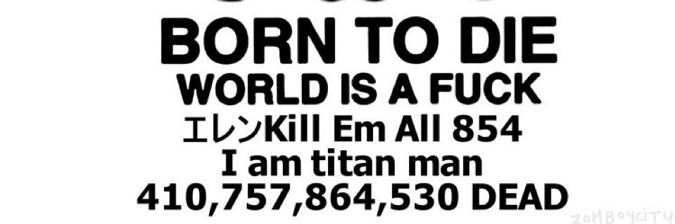 Space Cowboy banner