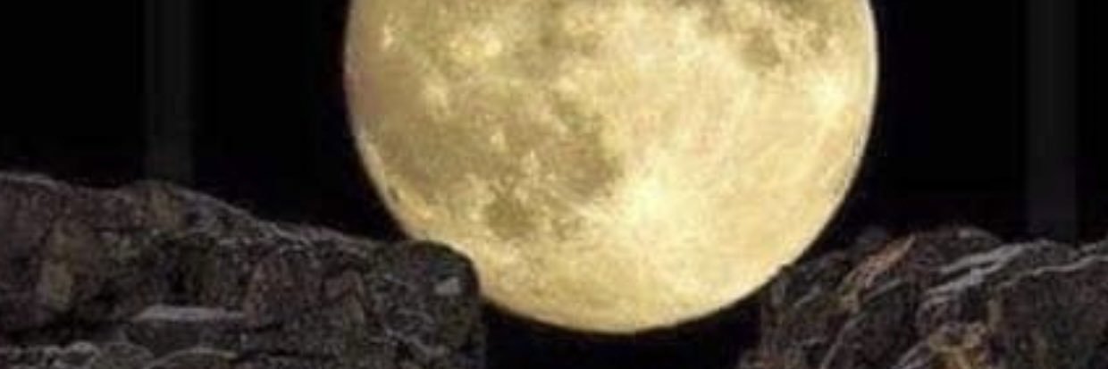 andn96's profile banner image