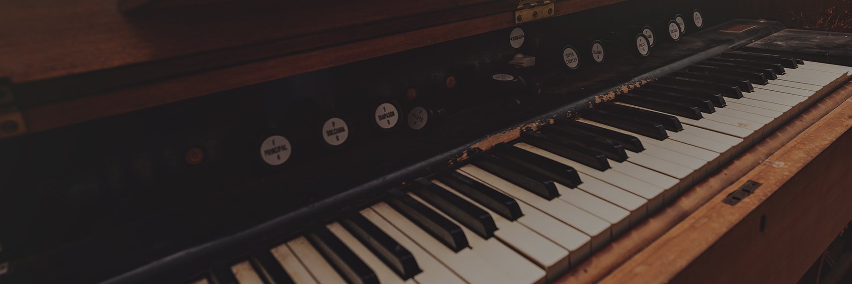 Daily Audio Bible banner