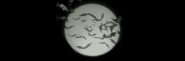 𝕭 banner