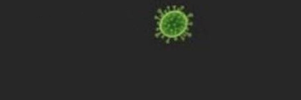 tang 🍉 banner