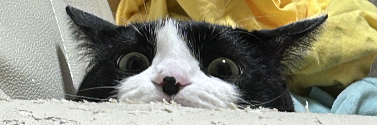 ふくまるもりもり banner