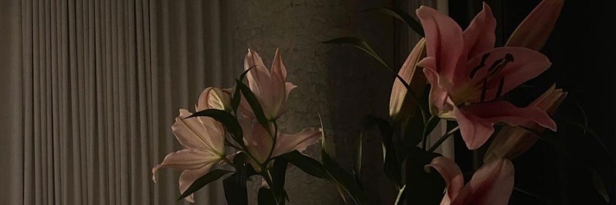 🐍 banner