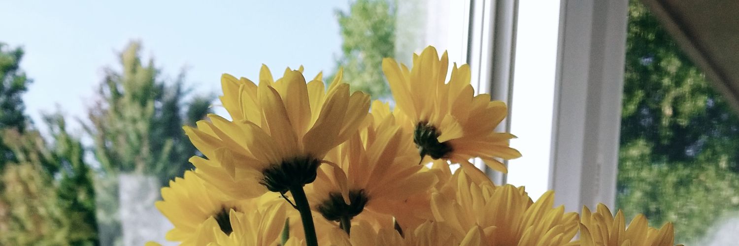 lhendozka's profile banner image
