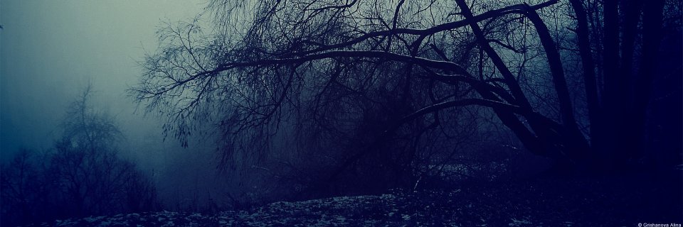 MACG1999's profile banner image