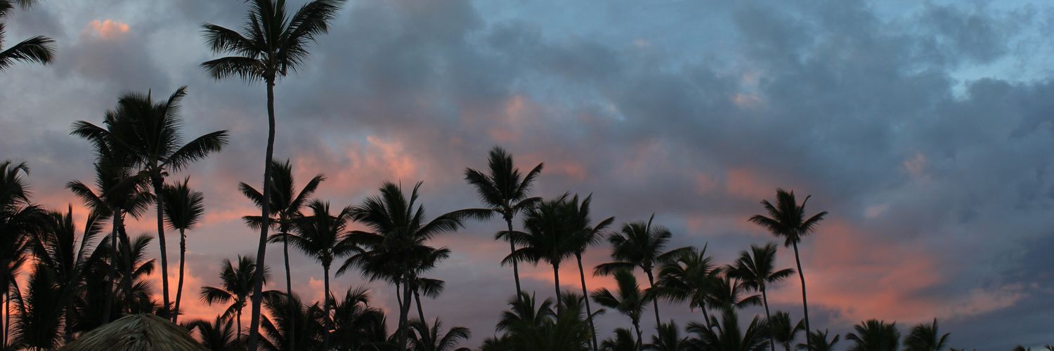 Sofivasquezpini's profile banner image