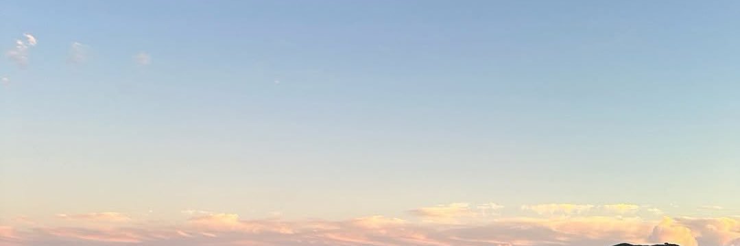 🧸 banner