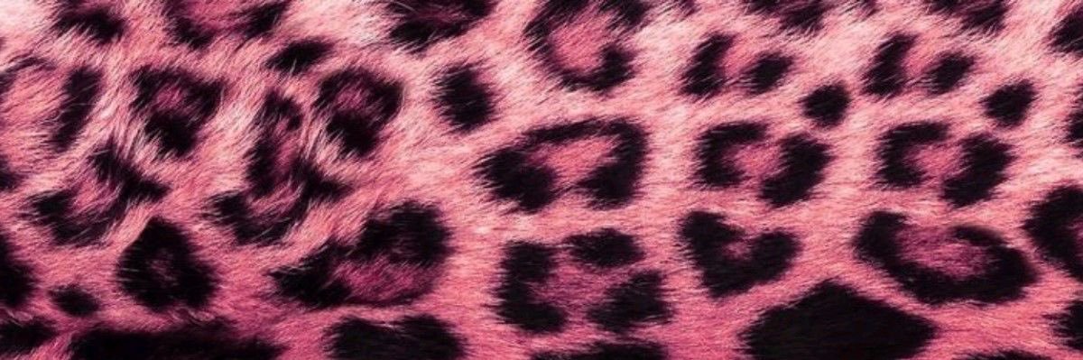 shil ꩜ ᯅ ꩜ banner