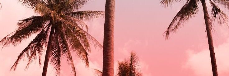 vanefer63's profile banner image