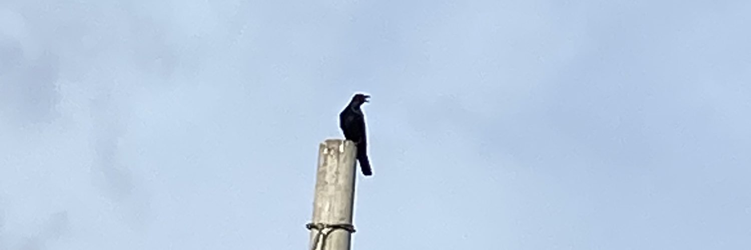 pablito problemas banner