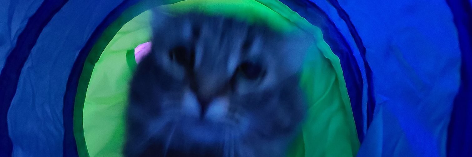 braeden182's profile banner image