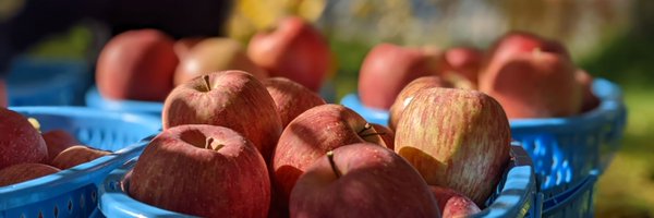 appleniceguy1 Profile Banner