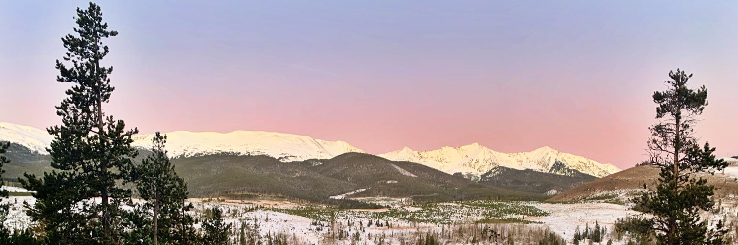 Alysa Rose Antonelli banner