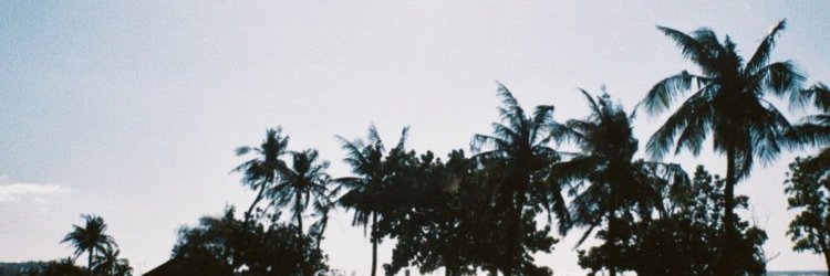 めんたね（あぶない） banner