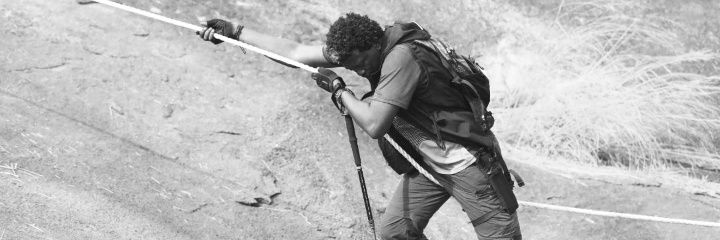 Max Omar banner