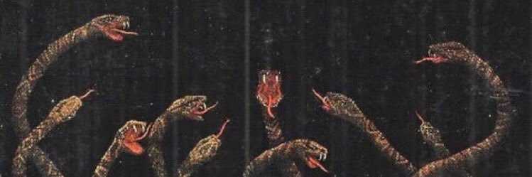 campvasari's profile banner image