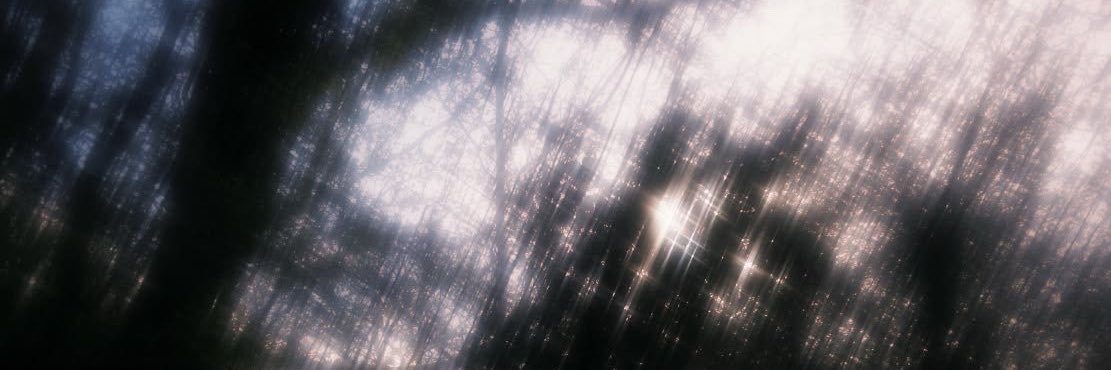 suavims's profile banner image