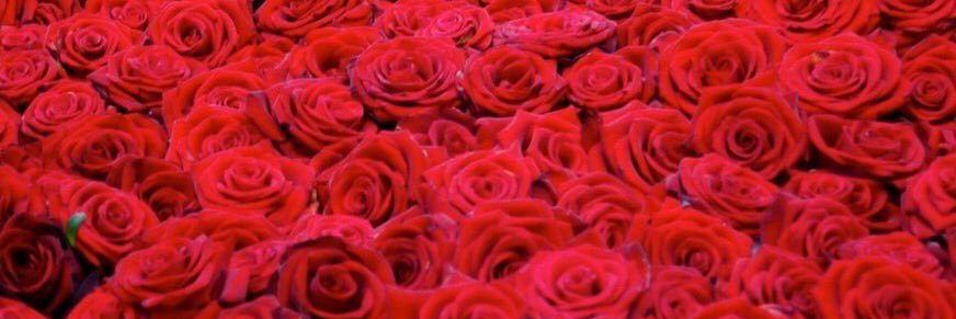 zilfadj's profile banner image