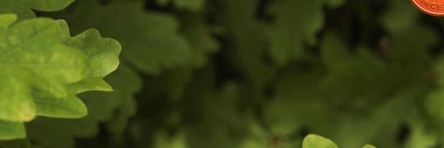 tomaszimmermann's profile banner image